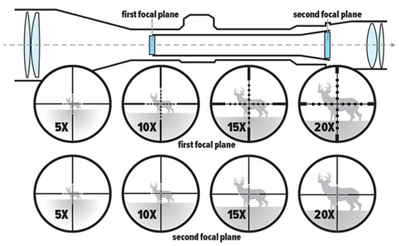 Focal Plane