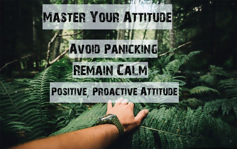 Master your attitude