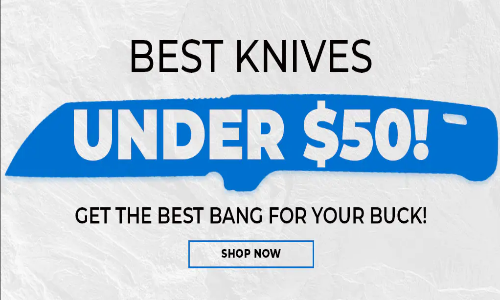 Best Knives Under $50!
