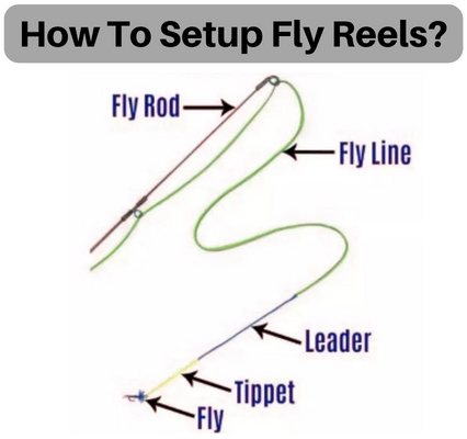 How To Set up Fly Reels