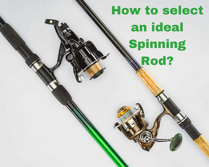 How to select an ideal Spinning Rod