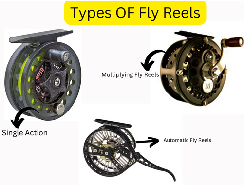 Types Of Fly Fishing Reels